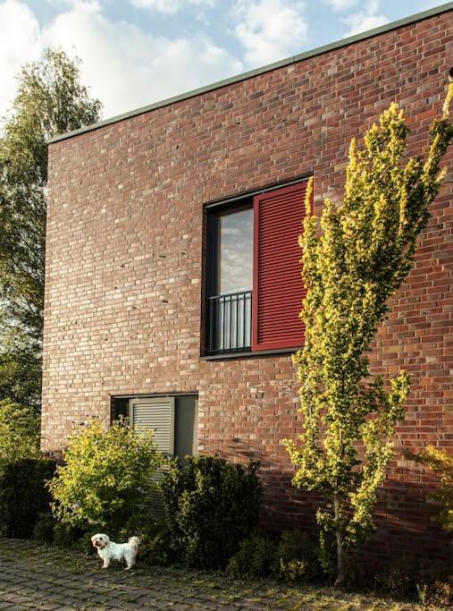 Schickes Wohnstudio Mit Garten Am Aasee Ibbenbüren Zewnętrze zdjęcie